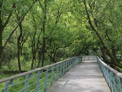 -西湖风景区-江洋畈生态公园