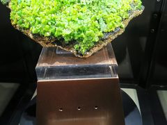 -中国地质大学逸夫博物馆