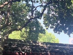 -天一阁博物院