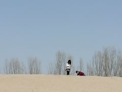 -东郊湿地公园