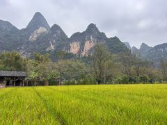 -明仕田园