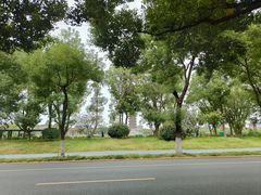 -葛仙湖公园