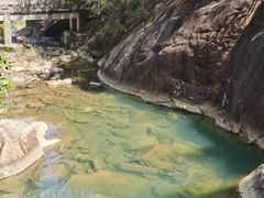 -广州白江湖森林公园