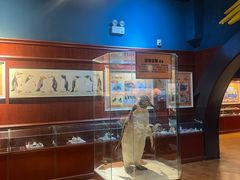 -海合安武汉极地海洋公园