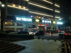 -OLD TREE老树咖啡·西餐厅(台山人工湖店)