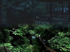 -青城山