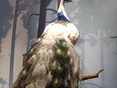 -陕西自然博物馆