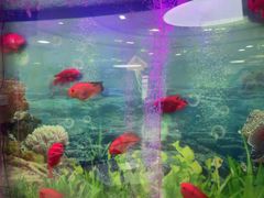-雅悦齿科(顾村公园店)