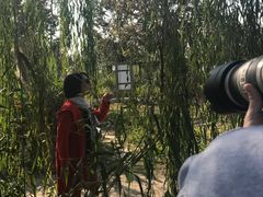 -鹅湖玫瑰文化园