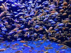 -成都浩海立方海洋公园