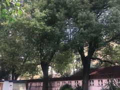 -上海市虹口区曲阳第五幼儿园