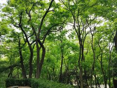 -观象山公园
