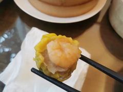 -大可堂普洱茶馆(襄阳南路馆)