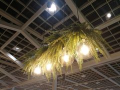 大堂-宜家·瑞典风味餐厅(无锡店)
