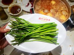芦笋苗-燃计沙茶皇·香港沙茶火锅(人广旗舰店)