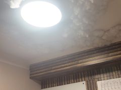 -戏精管理局·剧本杀·桌游·血染钟楼