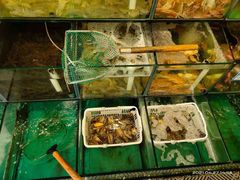 -琼大师东方烤乳猪(亚特兰蒂斯店)