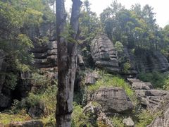 -梭布垭石林景区