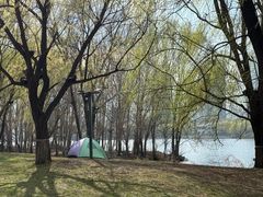 -长白岛森林公园