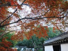 -上海醉白池公园