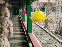-高尔山公园