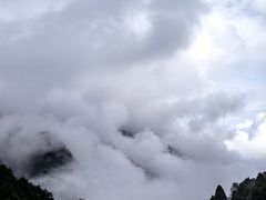 -庐山风景区花径公园