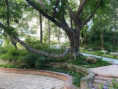 -成都市活水公园