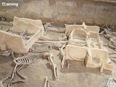 -洛阳周王城天子驾六博物馆