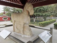 -茂陵博物馆