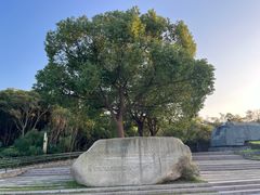 -上海吴淞炮台湾国家湿地公园