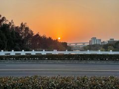 -南翔镇银翔湖公园