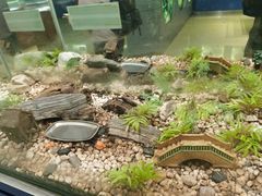 -上海昆虫博物馆