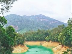 -广州市流溪河国家森林公园