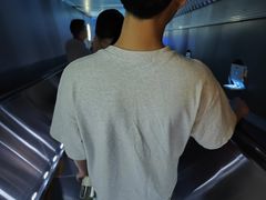 -白鹤梁水下博物馆