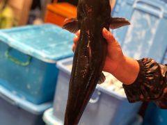 -古城苗家土菜馆(河景餐厅店)