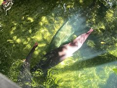 -青青世界