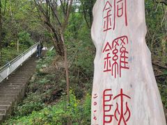 -铁山坪森林公园