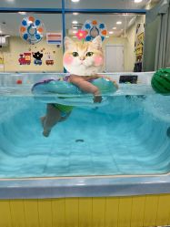 -蓝色海林婴幼儿水育馆(新辰里学清路店)