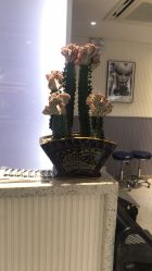-PE SALON