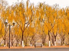 -永定河休闲森林公园