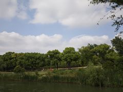 -东方绿舟景区