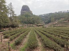 -武夷山风景名胜区-虎啸岩