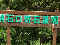 -崂山仰口游览区