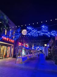 -花隐·美芙炫海菲秀皮肤管理中心