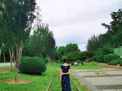 -永定河休闲森林公园