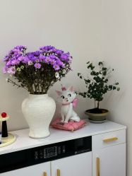 -WENDY·温迪皮肤管理