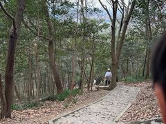 -上海佘山国家森林公园天马山园