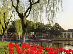 -上海鲜花港