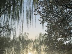 -胖哥俩肉蟹煲(世茂国际广场店)