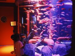 -沈阳海洋探索中心